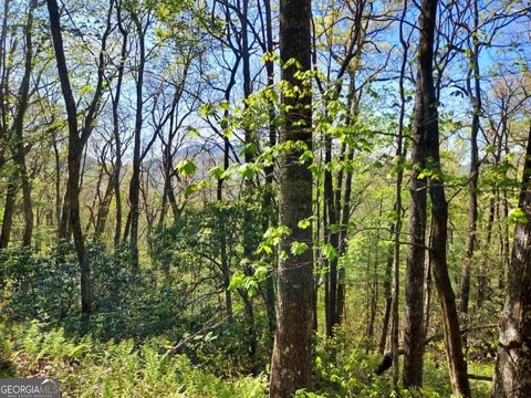 Land, Scaly Mtn, NC