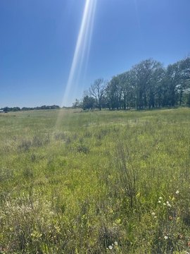 Weatherford Land with Development Potential