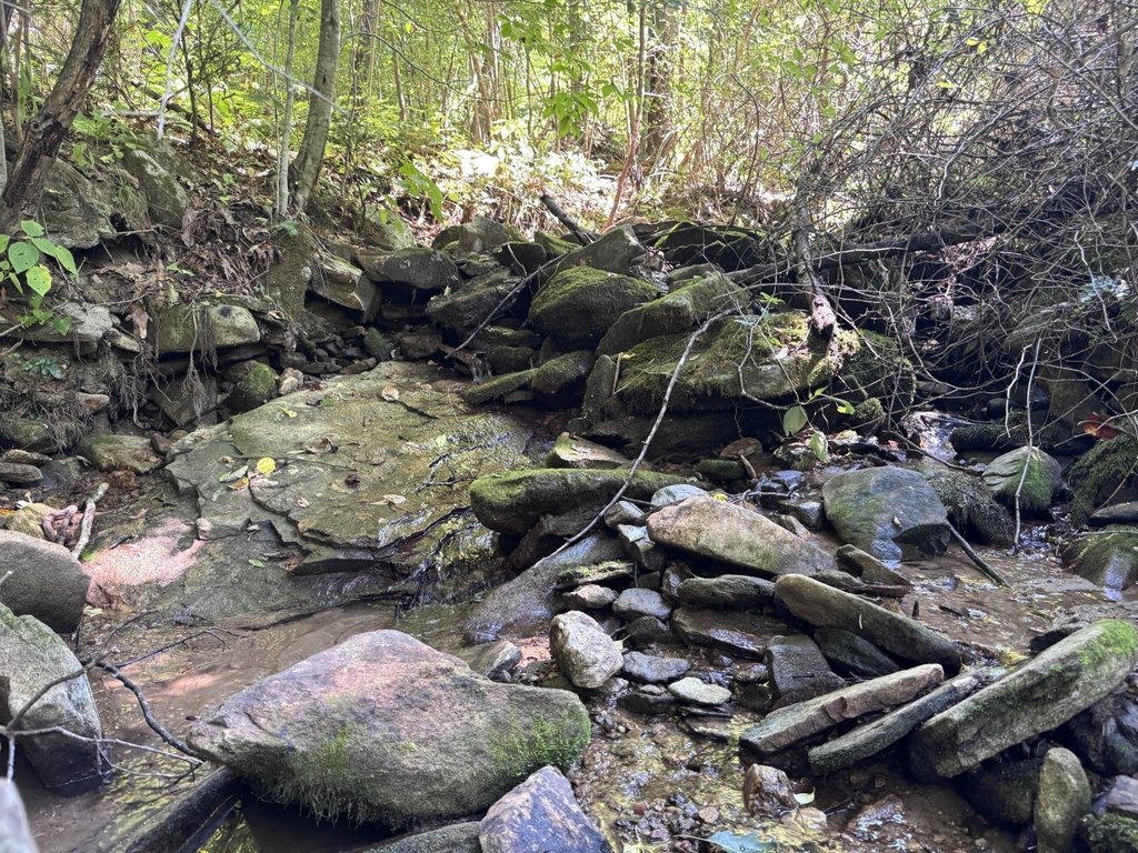 Picture 28