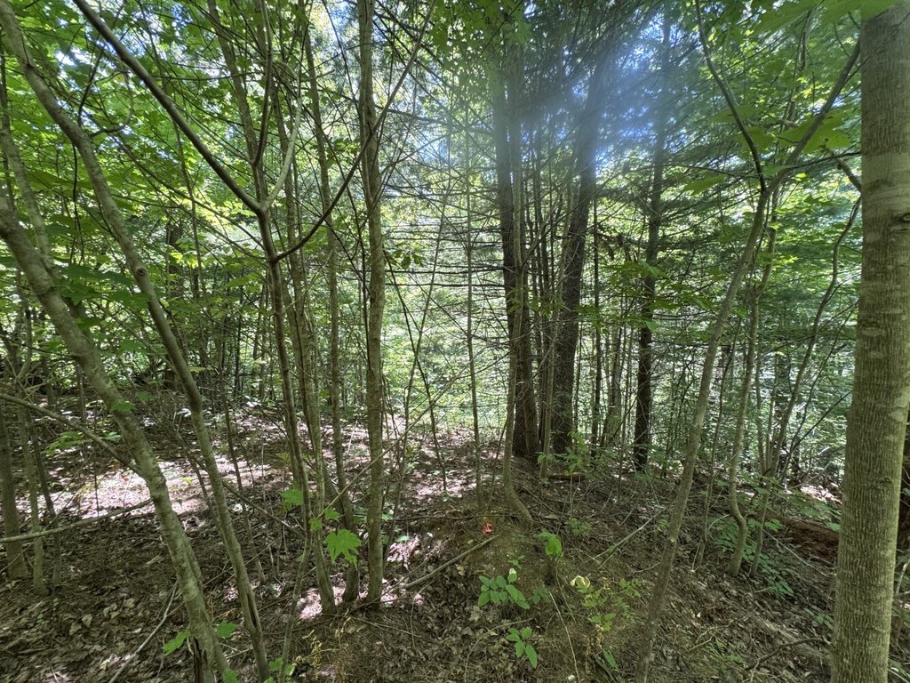 Picture 16