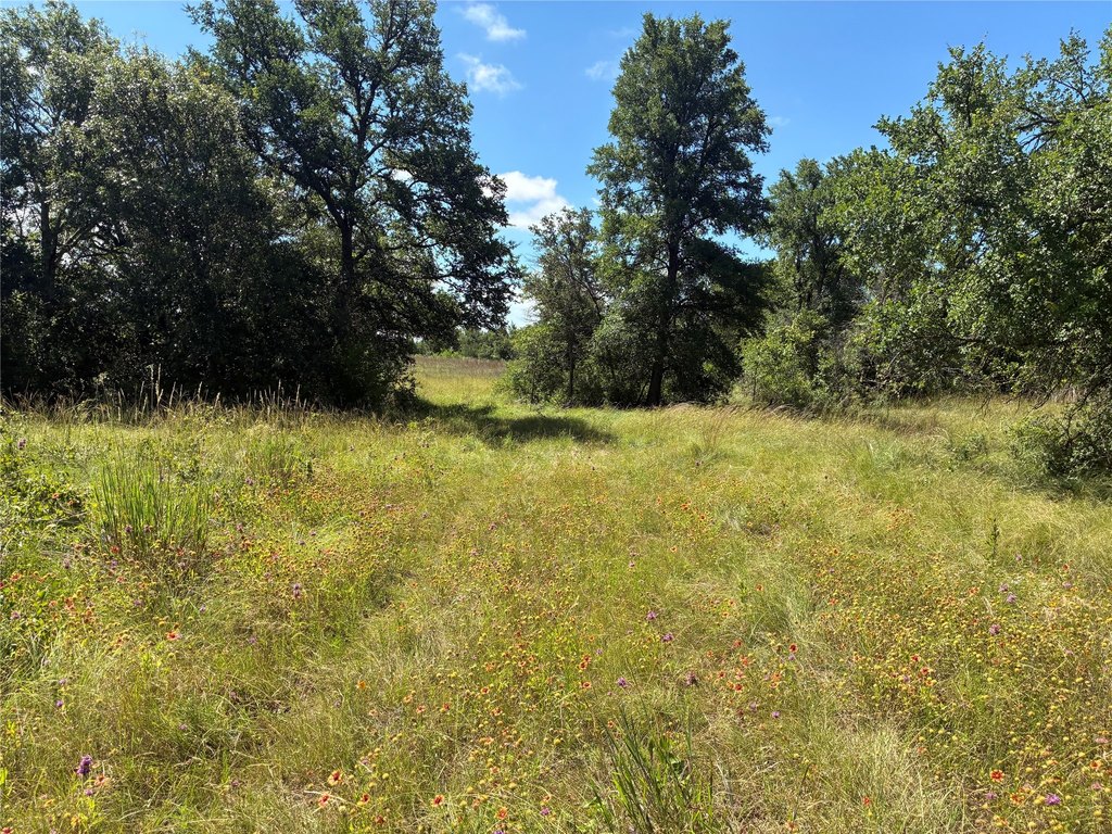 Picture 19