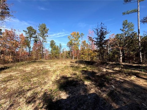 Land, Rydal, GA