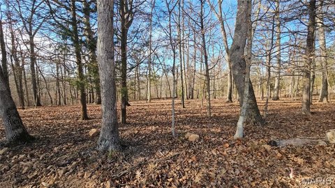 Large Lot in Lake Sherwood