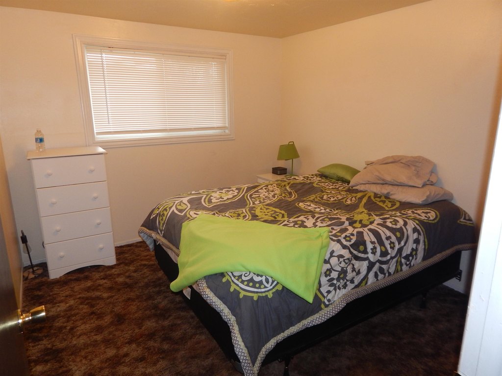 Picture 12