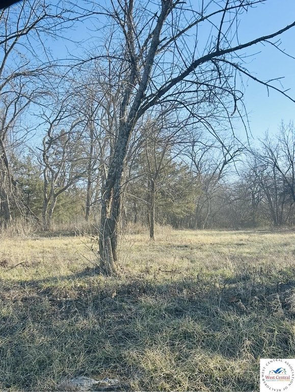 Picture 17