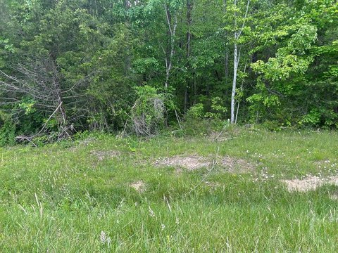 Unrestricted Land Near State Parks