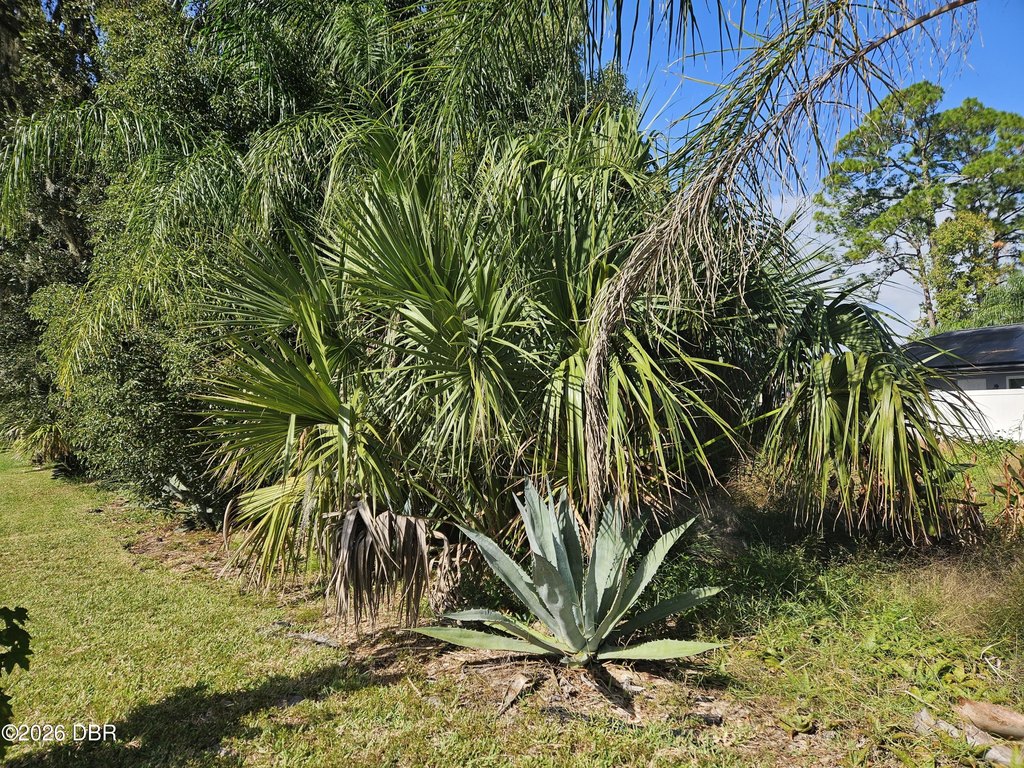 Picture 6