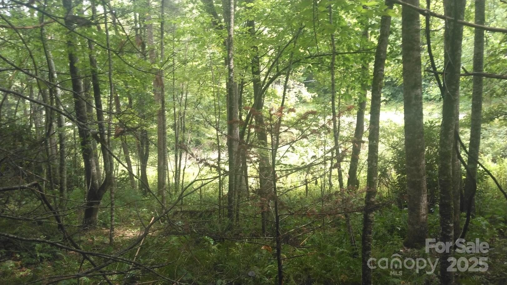 Versatile Land Near Blue Ridge