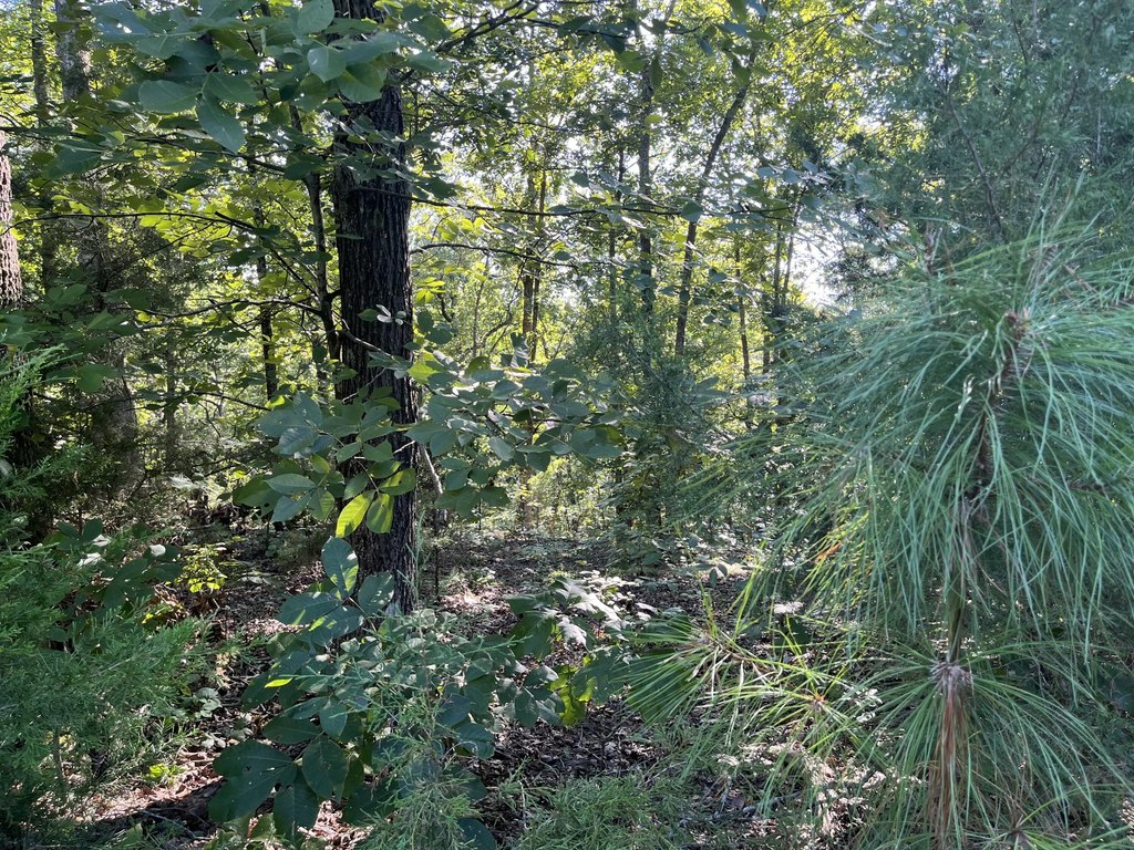 Picture 6