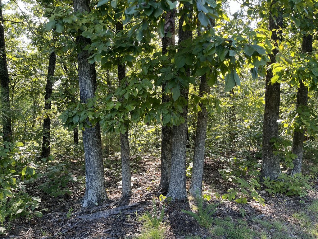 Picture 13