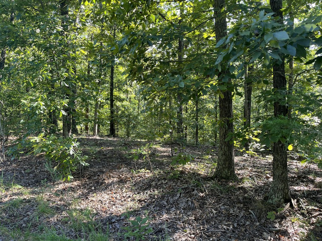 Picture 10
