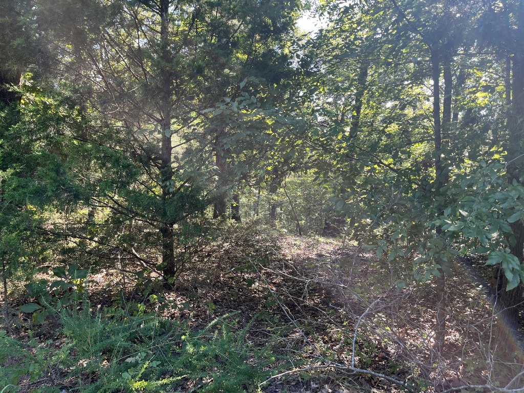 Picture 4
