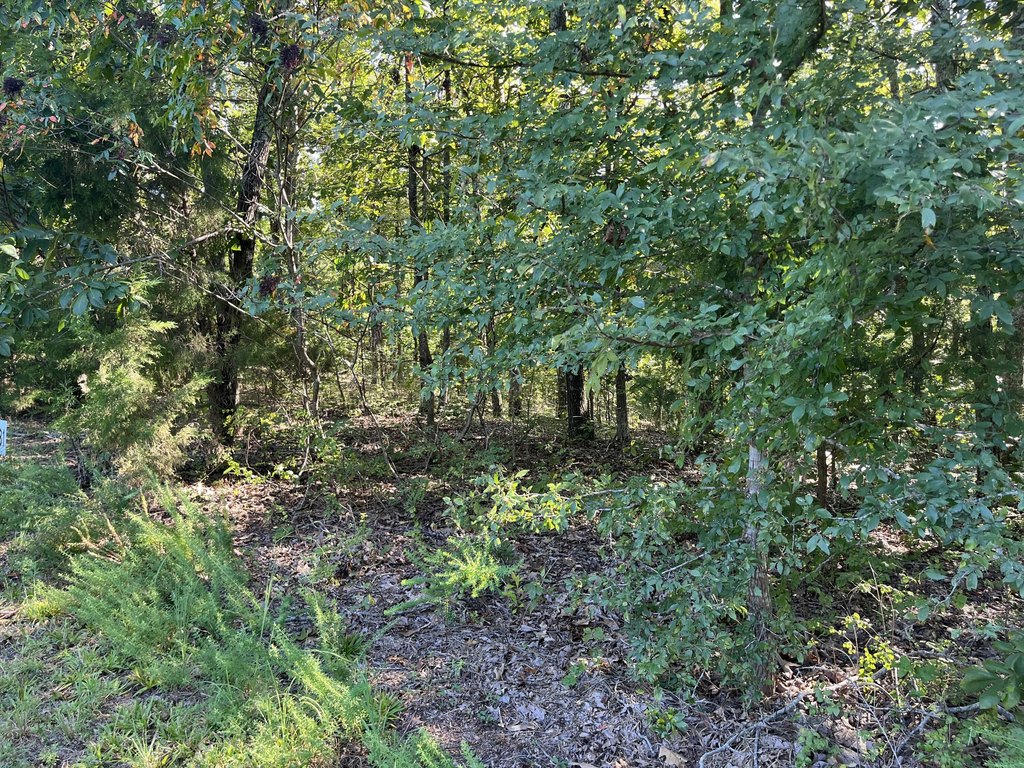 Picture 15