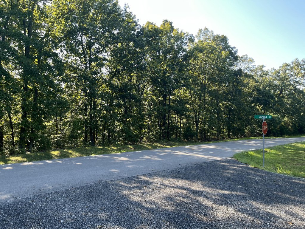 Picture 16
