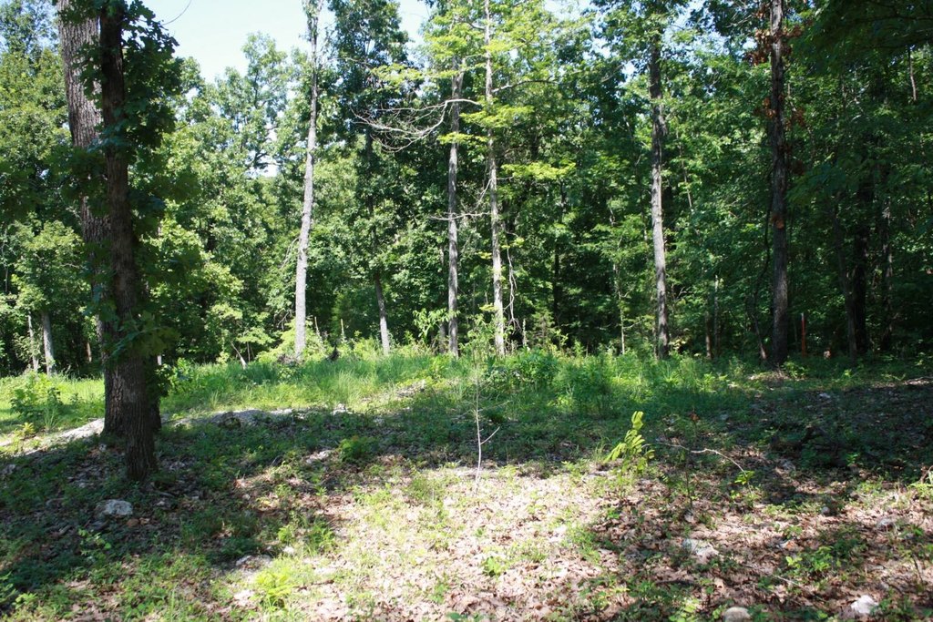 Picture 6