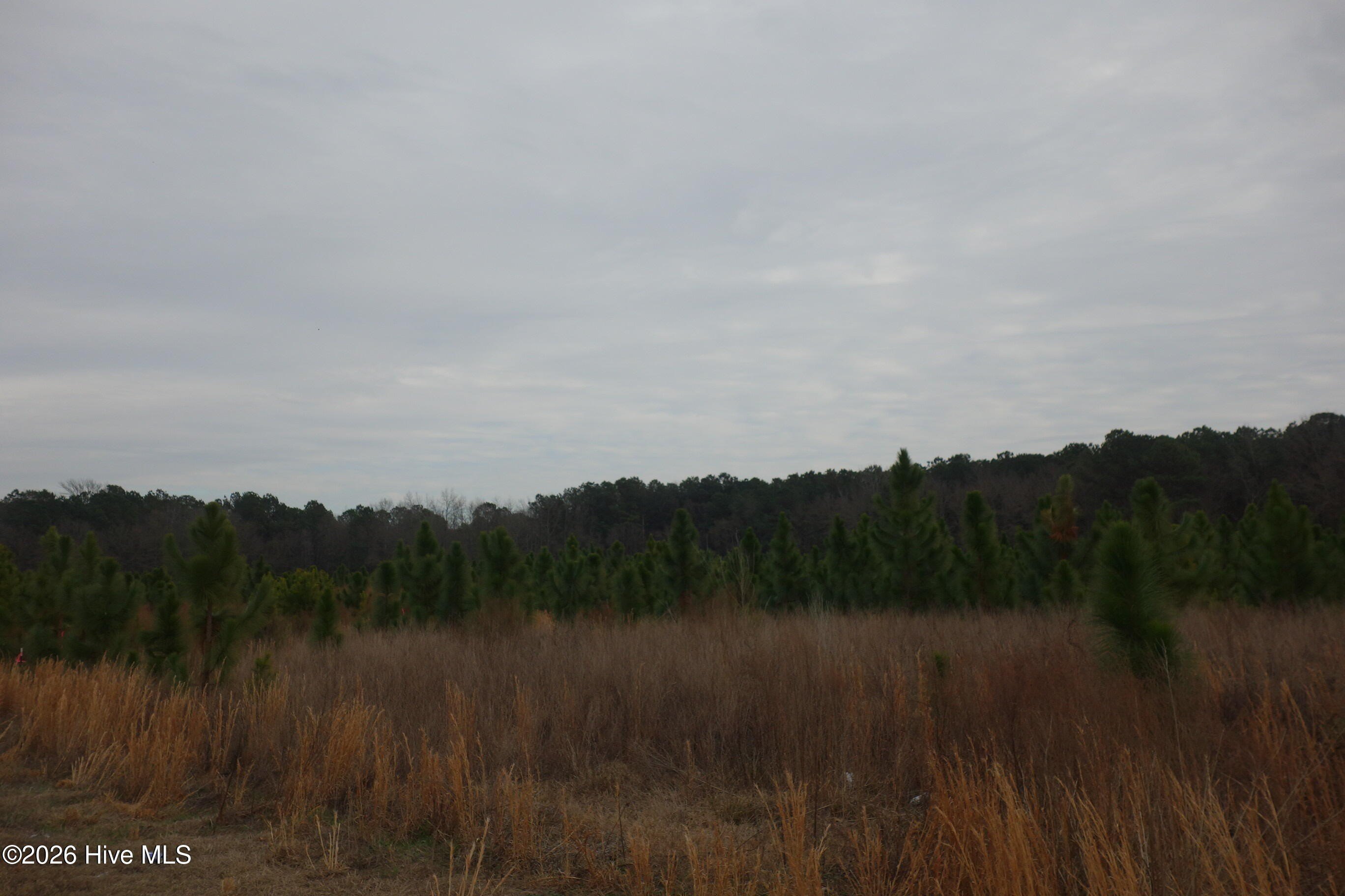 Residential Land in Fairmont, NC