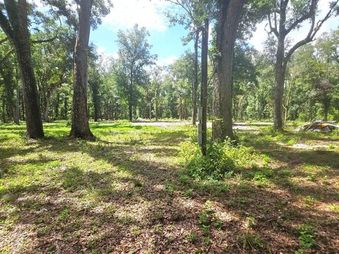 LAND - Old Town, FL