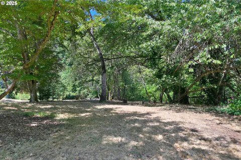 Buildable Lot Near Wayne Morse Ranch