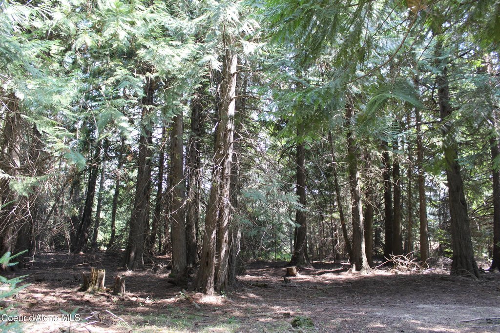 Picture 20