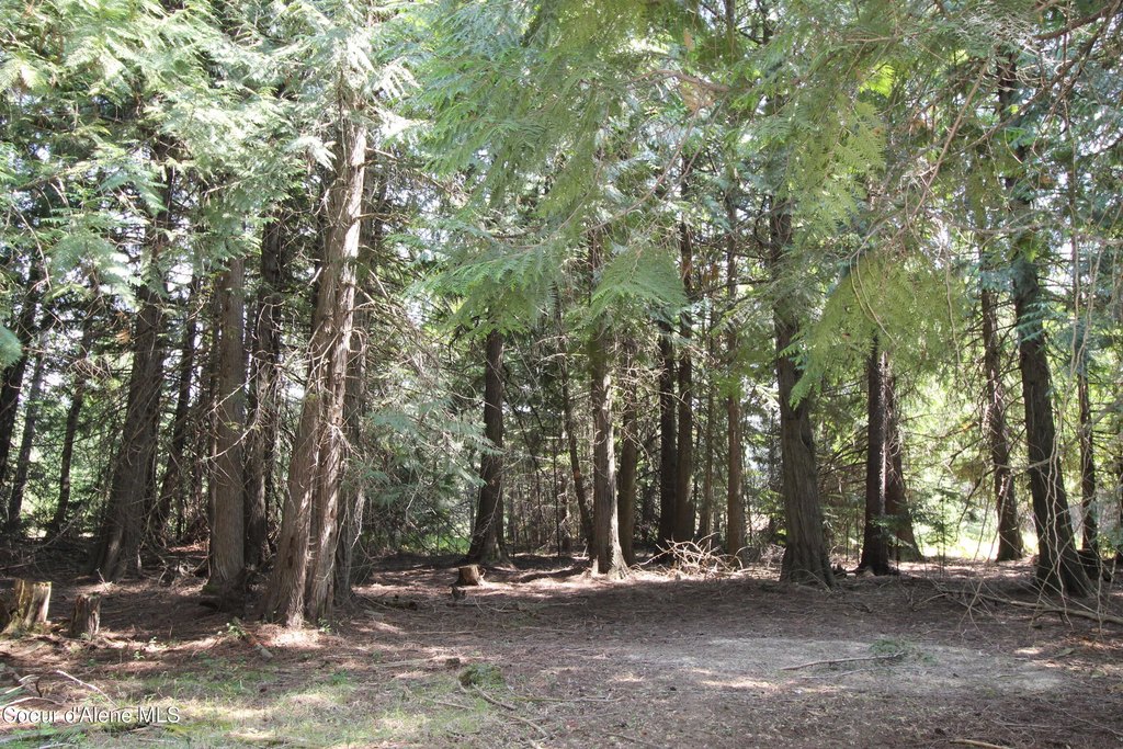 Picture 19