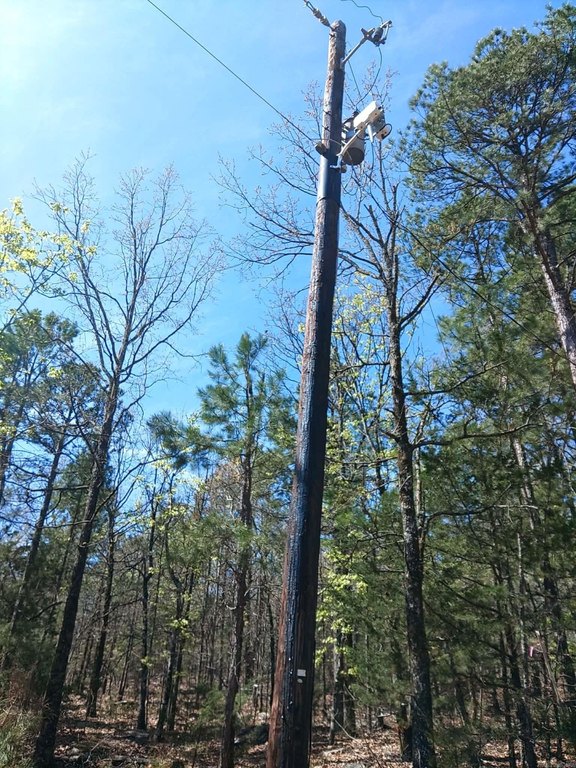 Picture 3
