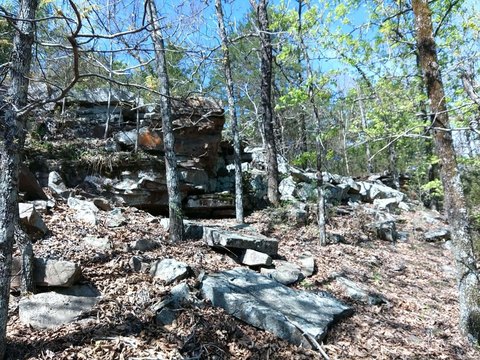 Midland, AR Timbered Land