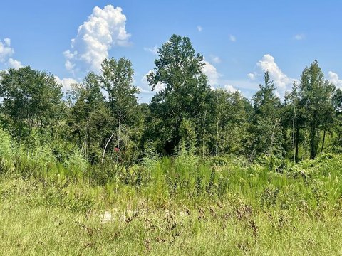 LAND - Vossburg, MS