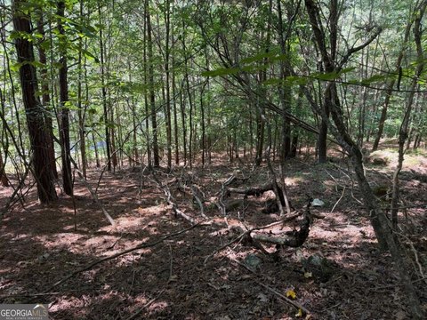 Land, Blairsville, GA