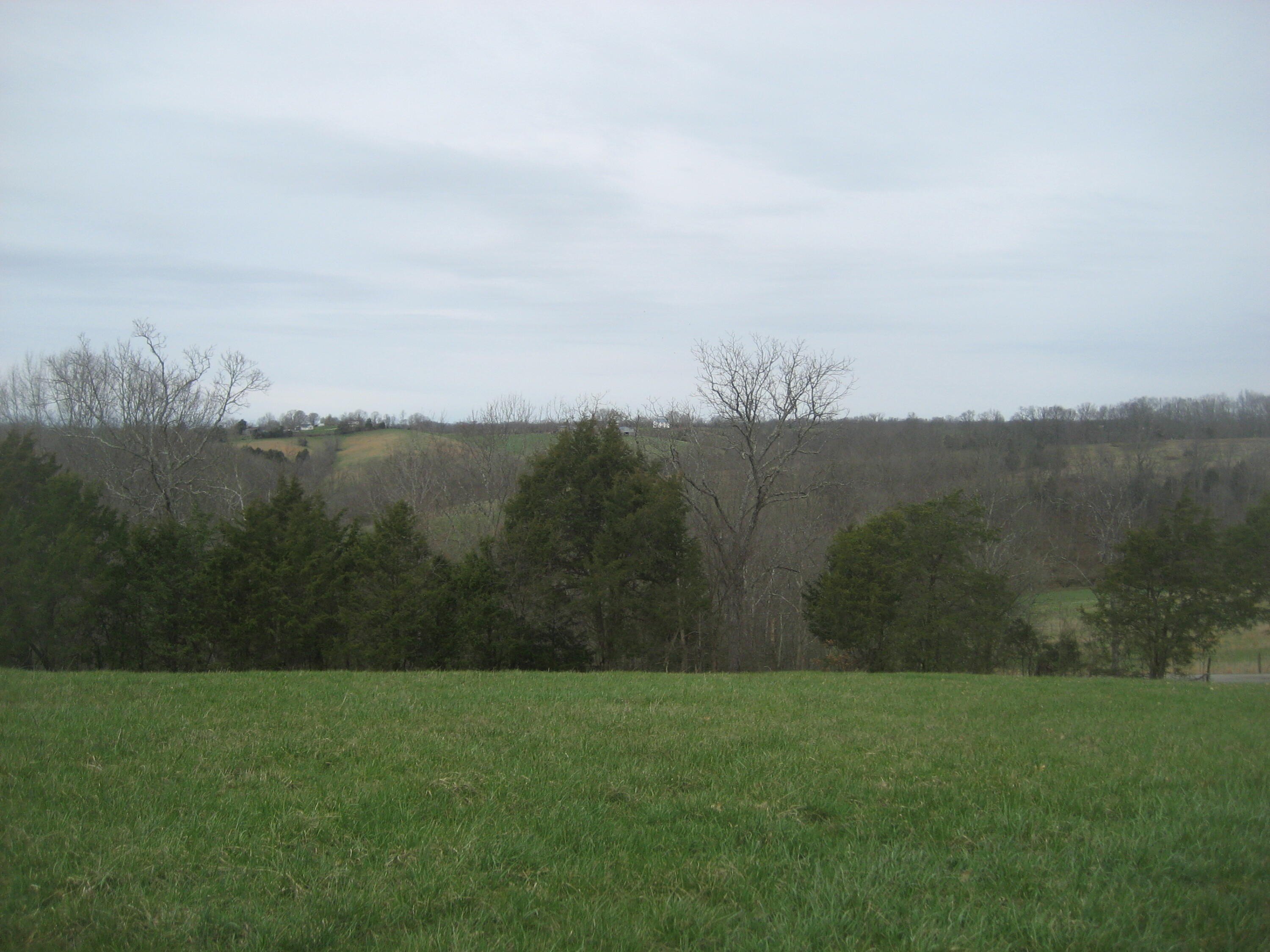 21 Acres Rolling Pasture Land