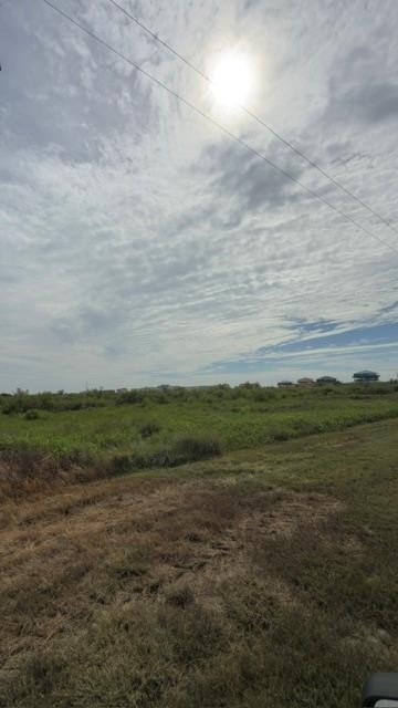 Picture 4