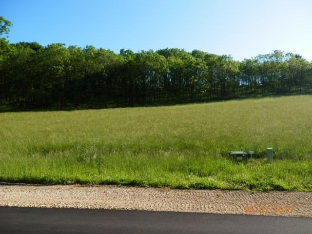 Picture 10