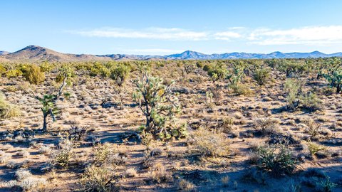 40 Acres in Yucca, Arizona