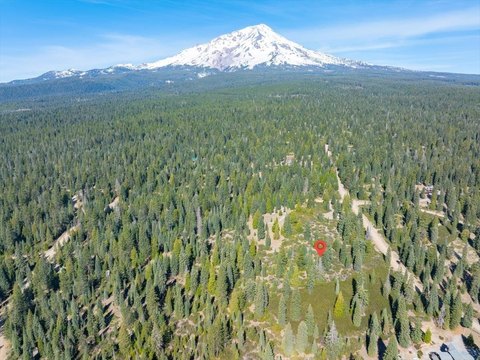 LAND - McCloud, CA