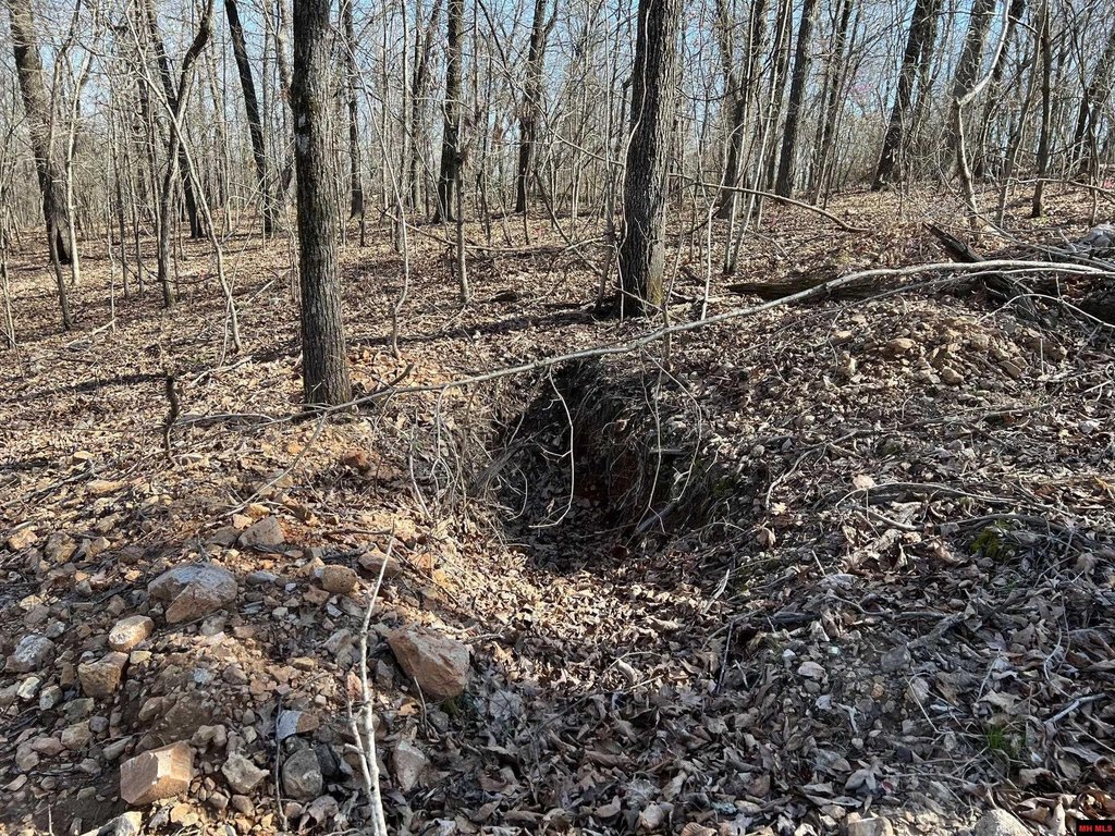 Picture 23