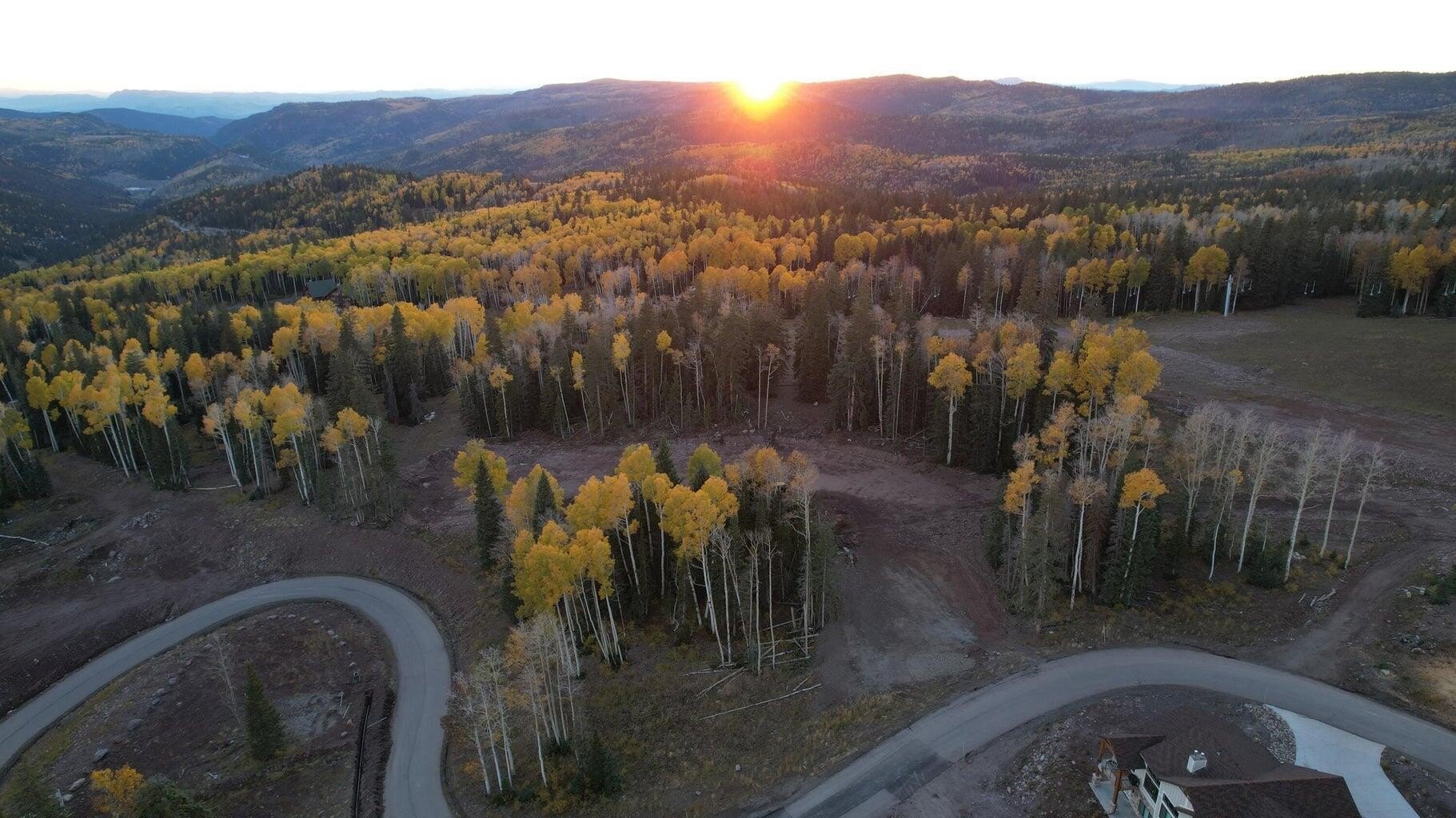 Ski-In/Ski-Out Lot with Views
