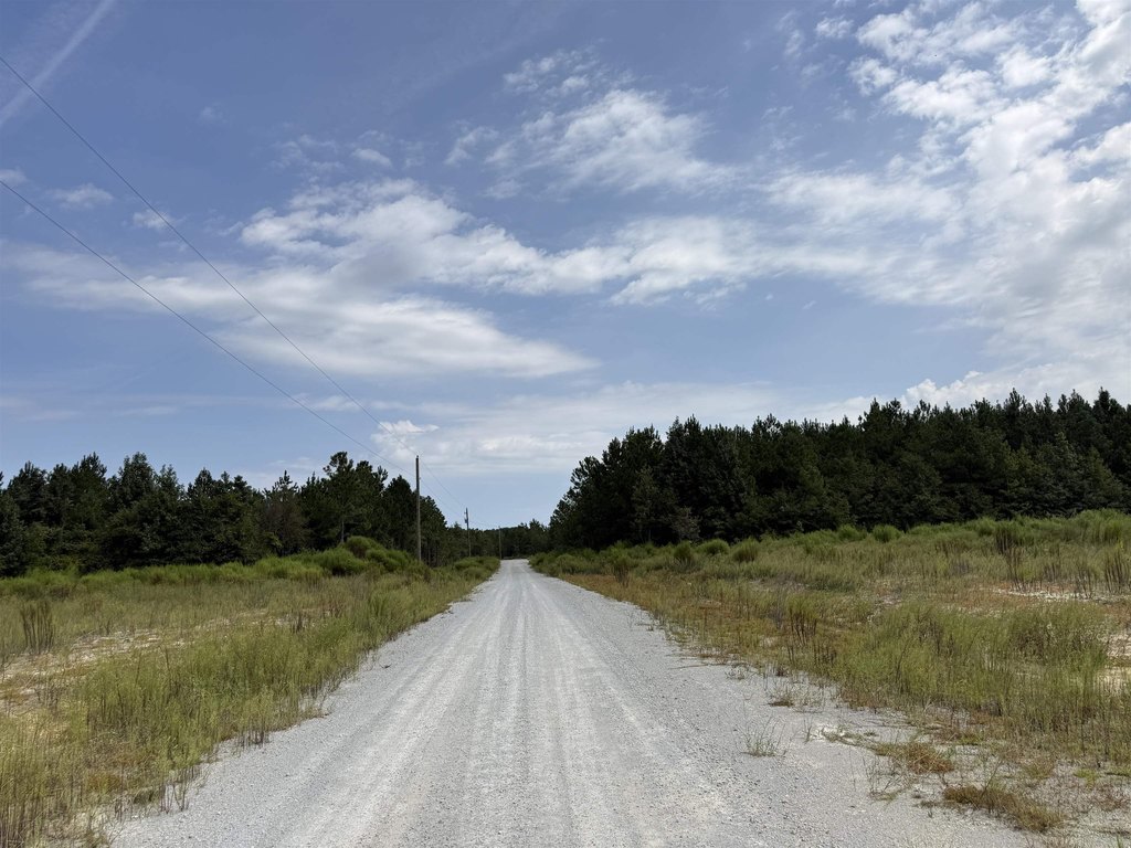Picture 30