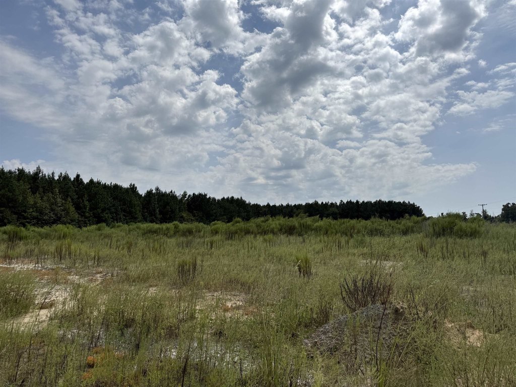 Picture 28