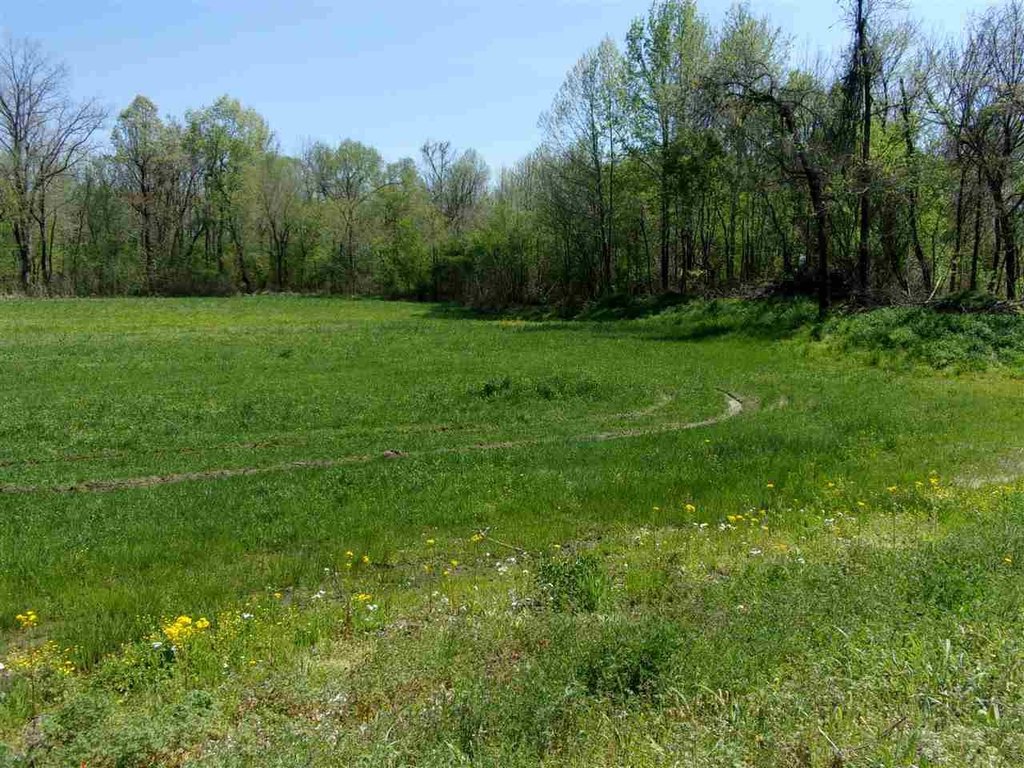 Picture 10