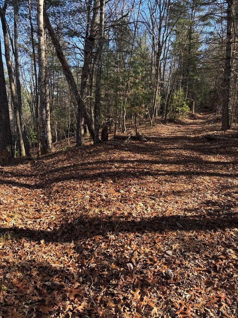 Land Borders USFS Land