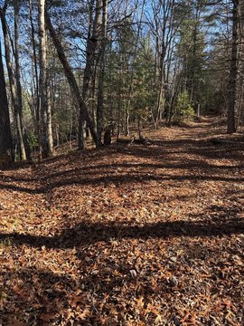 Land Borders USFS Land