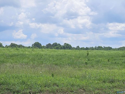 Spacious Lot in Elkwood Farms