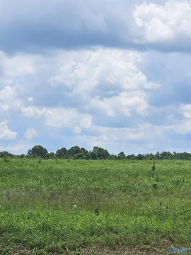 Spacious Lot in Elkwood Farms