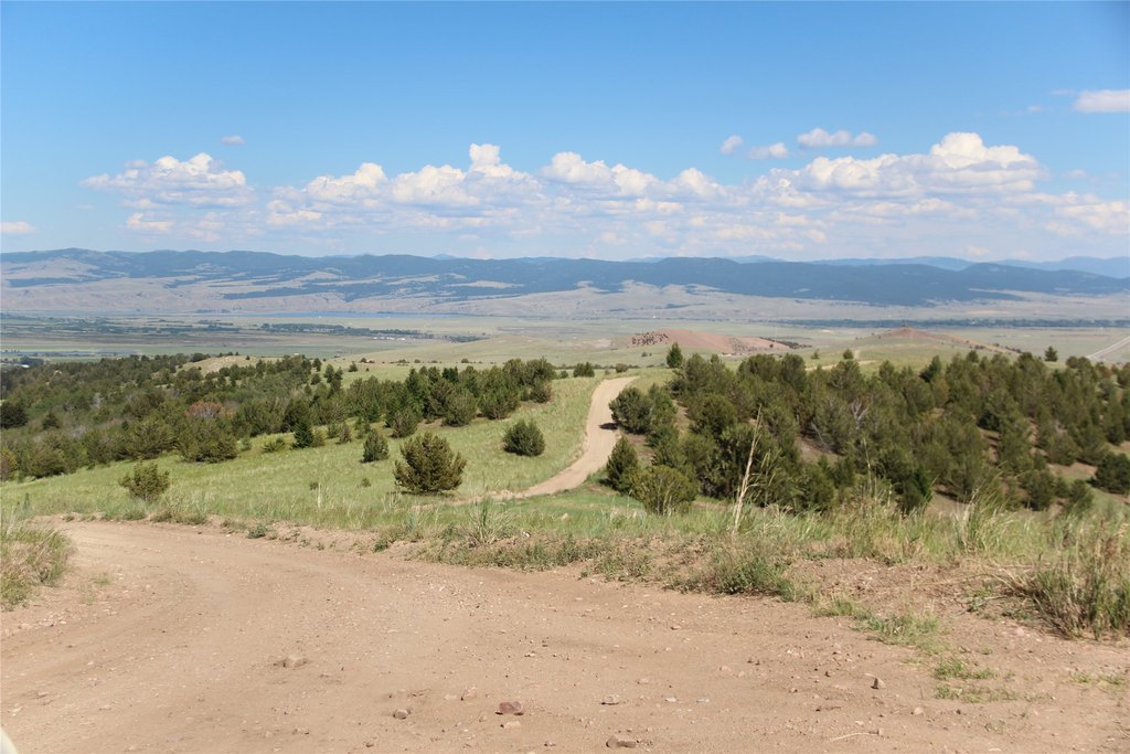 Picture 7