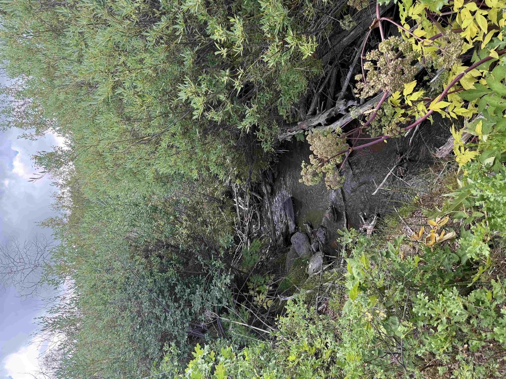 Picture 30