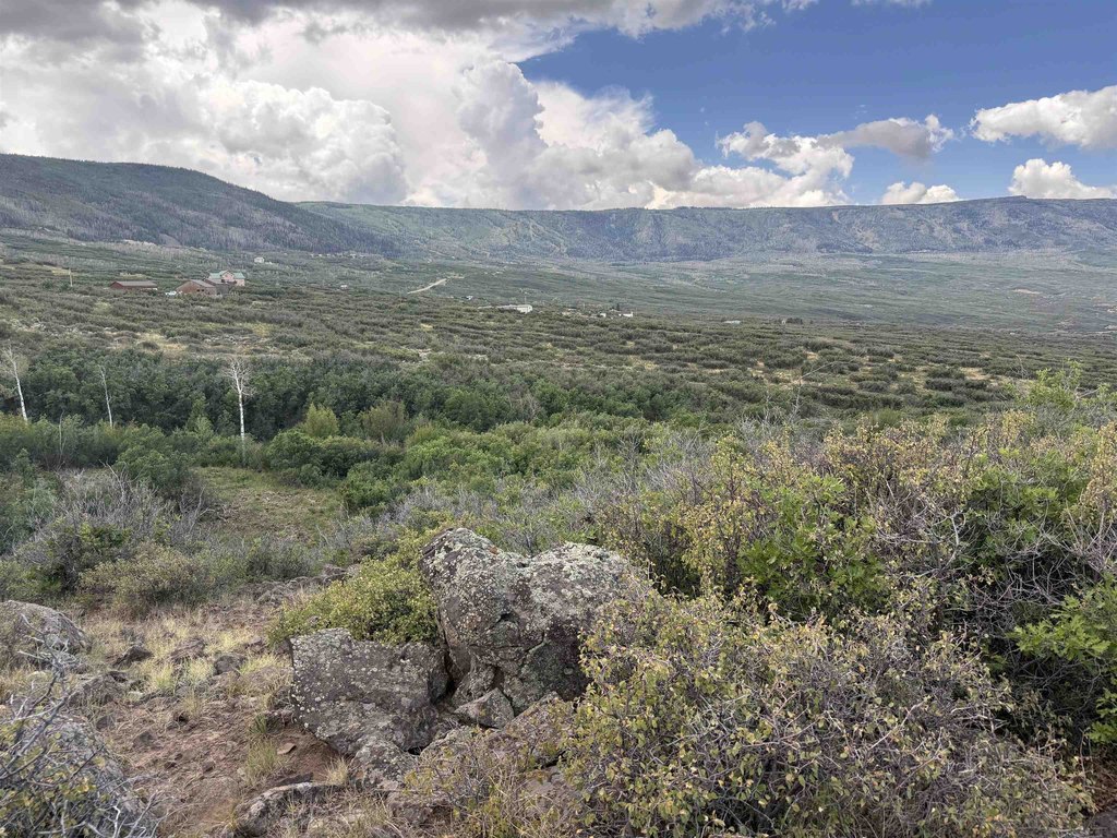 Picture 23