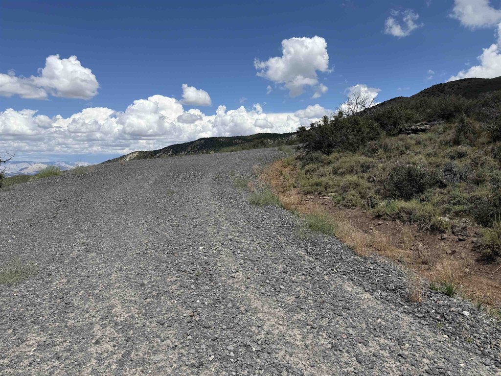 Picture 20