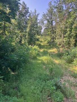 Land, Fredericktown, MO