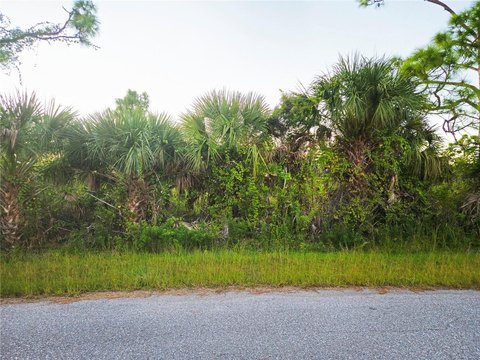 Oversized Lot in South Gulf Cove