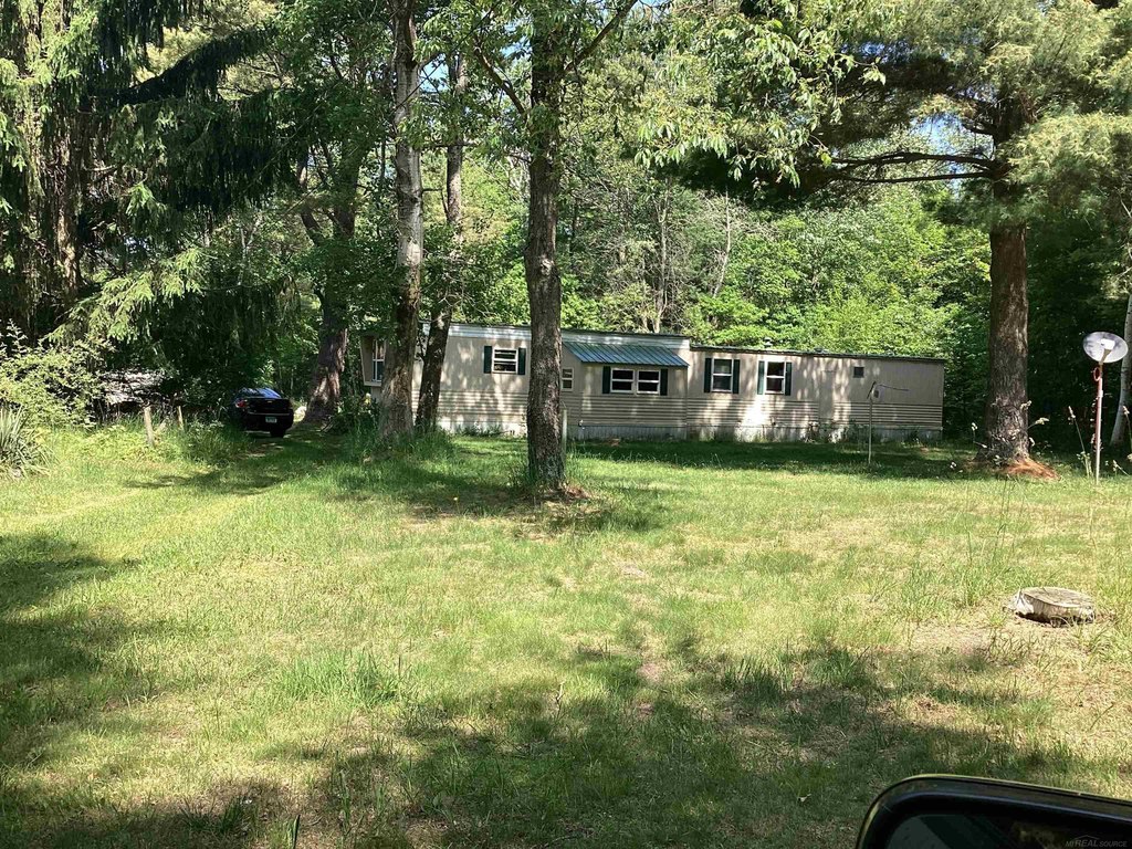 Picture 19