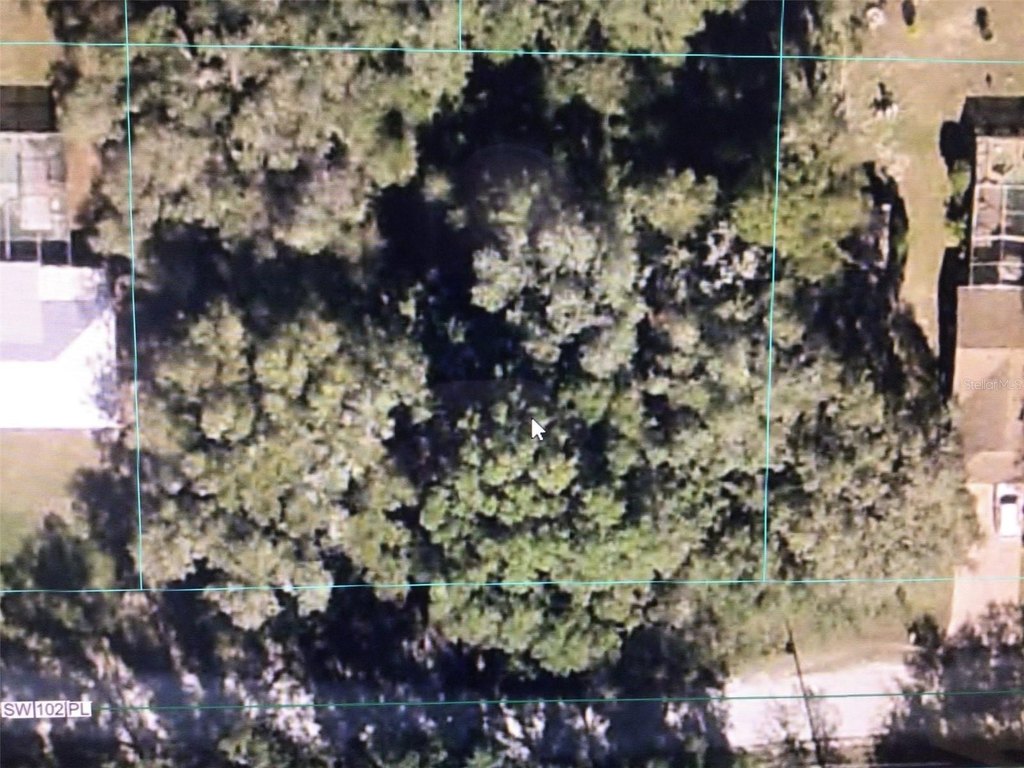 Picture 2